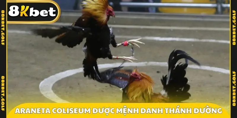Araneta Coliseum được mệnh danh là thánh đường