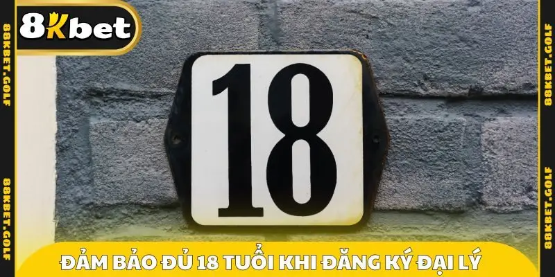 Đảm bảo đủ 18 tuổi khi đăng ký đại lý