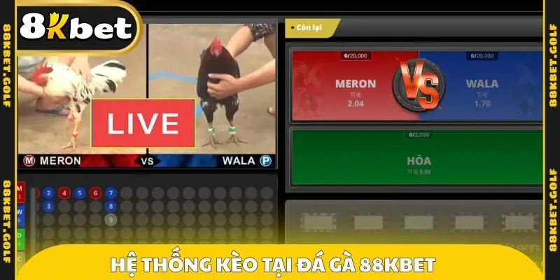 Hệ thống kèo tại đá gà 88KBET