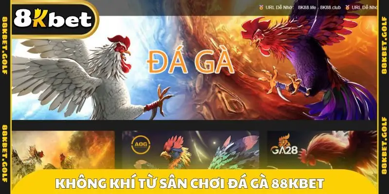 Không khí từ sân chơi đá gà 88KBET