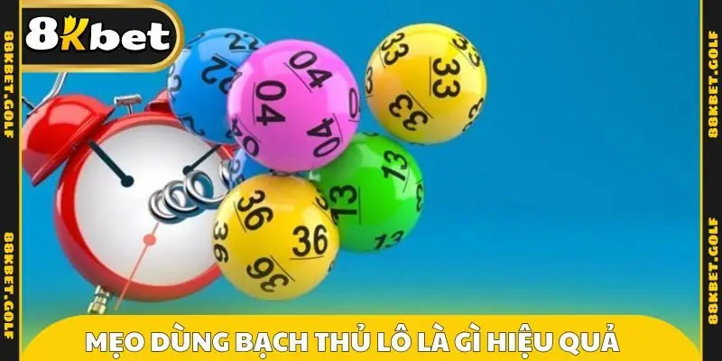 Mẹo dùng bạch thủ lô là gì hiệu quả